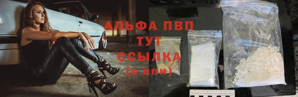 прущий лед Михайлов