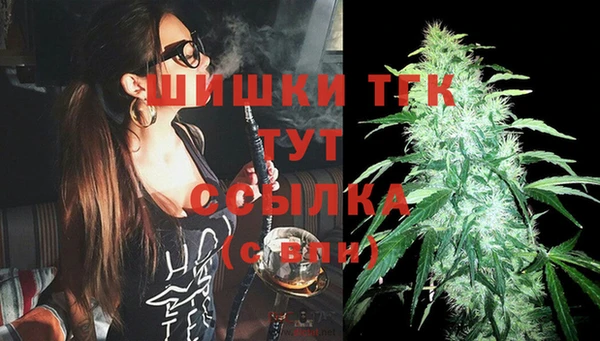 гашик Михайловка