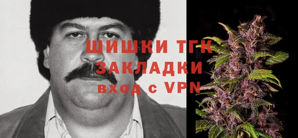 гашик Михайловка