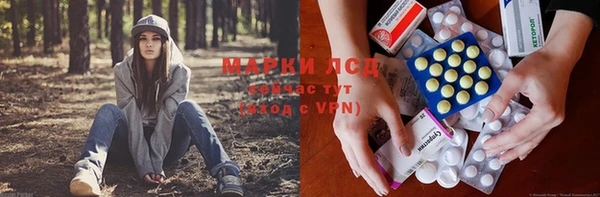 гашик Михайловка
