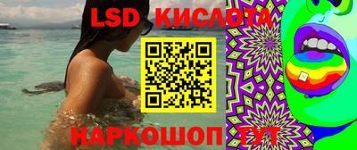 spice Будённовск