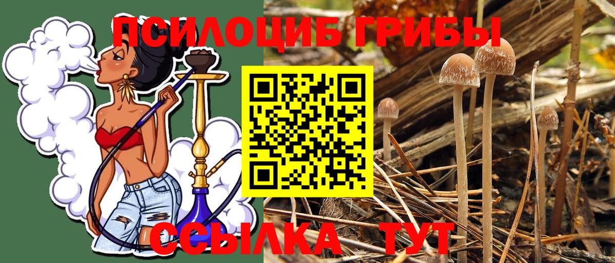 Псилоцибиновые грибы Magic Shrooms  наркотики  Морозовск  Псилоцибиновые грибы ЛСД 
