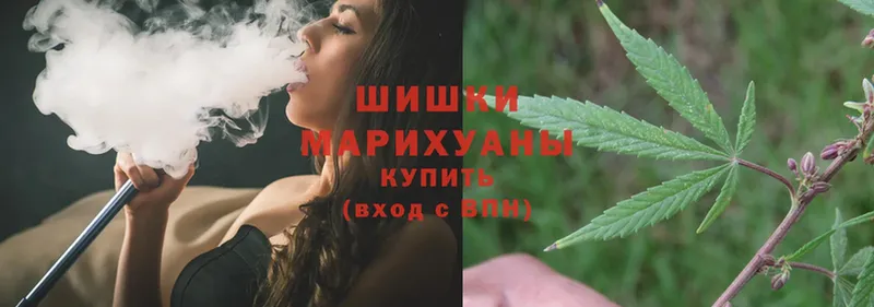 Каннабис White Widow  хочу наркоту  Морозовск 